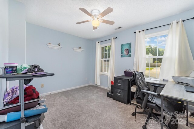 3505 Mallard Cove Ct, Charlotte, NC 28269 - photo 30