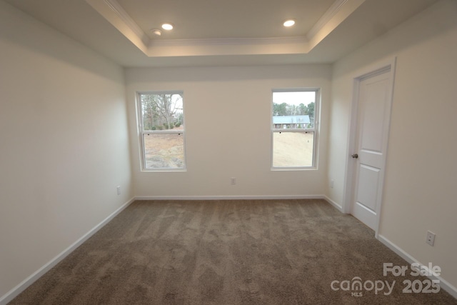 222 Harpers Run Ln, Matthews, NC 28104 - unfurnished room with a tray ceiling, crown molding, plenty of natural light, carpet, and baseboards