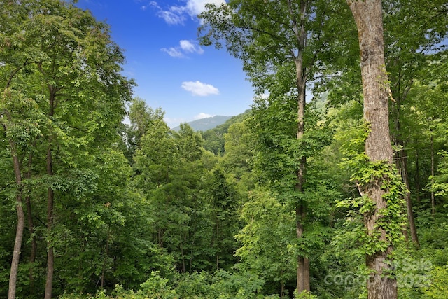 771 Sally Gap Rd, Old Fort, NC 28762 - view of wooded area