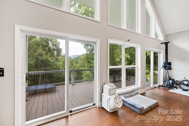 771 Sally Gap Rd, Old Fort, NC 28762 - doorway with a towering ceiling, plenty of natural light, and wood finished floors