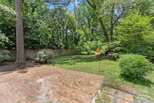 2813 Hilliard Dr, Charlotte, NC 28205 - fenced backyard with a patio area