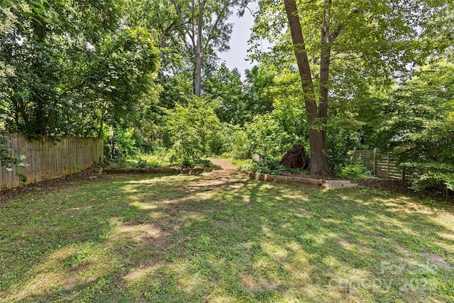 2813 Hilliard Dr, Charlotte, NC 28205 - view of yard