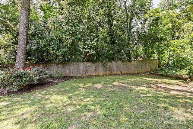 2813 Hilliard Dr, Charlotte, NC 28205 - view of yard
