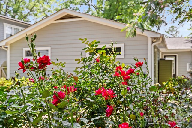2813 Hilliard Dr, Charlotte, NC 28205 - view of side of property
