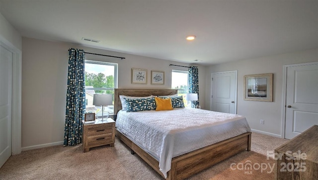 111 Eleanor Cove Rd, Arden, NC 28704 - bedroom featuring carpet flooring, baseboards, and multiple windows