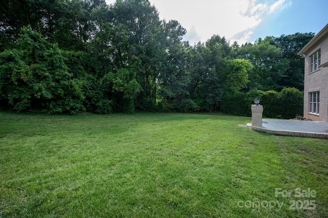 11841 Churchfield Ln, Charlotte, NC 28277 - photo 32