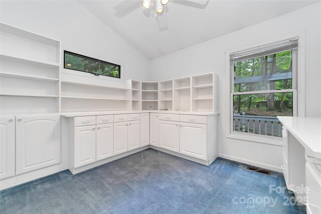 4404 Connestee Trl, Brevard, NC 28712 - walk in closet featuring dark carpet, ceiling fan, and high vaulted ceiling