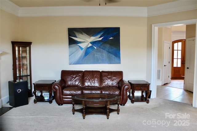 8620 Rolling Fields Rd, Charlotte, NC 28227 - carpeted living room featuring crown molding and tile patterned flooring