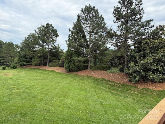8620 Rolling Fields Rd, Charlotte, NC 28227 - view of grassy yard