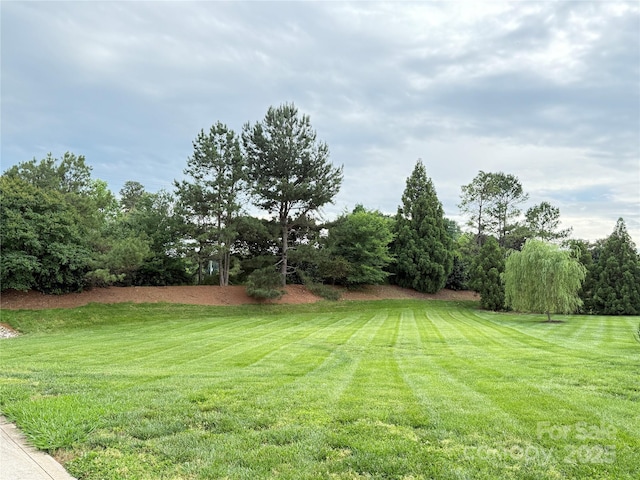 8620 Rolling Fields Rd, Charlotte, NC 28227 - view of green lawn with view of wooded area