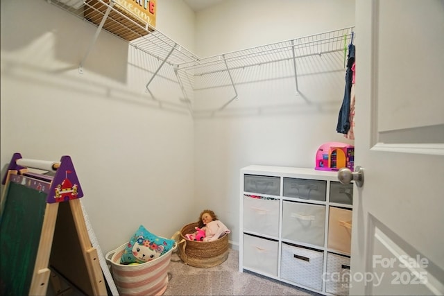 124 Vintage Woods Ct, Shelby, NC 28150 - spacious closet with carpet flooring