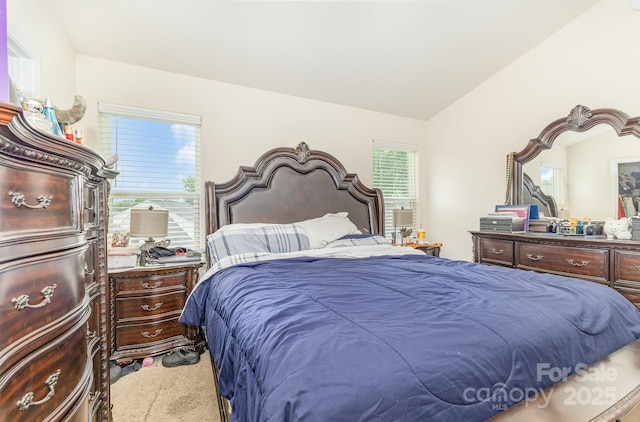 8005 Stevie Oaks Ln, Charlotte, NC 28215 - bedroom featuring carpet and vaulted ceiling