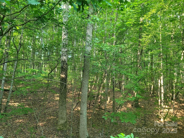 L177 Laurel Cove Rd, Statesville, NC 28677
