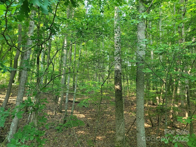 L177 Laurel Cove Rd, Statesville, NC 28677