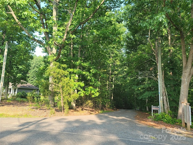 L177 Laurel Cove Rd, Statesville, NC 28677 - photo 4