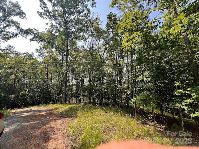 1015 Cross Ridge Dr, Rutherfordton, NC 28139 - photo 2