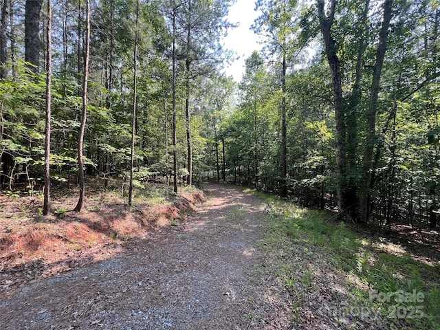 1015 Cross Ridge Dr, Rutherfordton, NC 28139 - photo 5