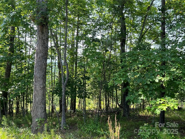 1015 Cross Ridge Dr, Rutherfordton, NC 28139 - photo 8