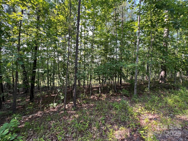 1015 Cross Ridge Dr, Rutherfordton, NC 28139 - photo 11