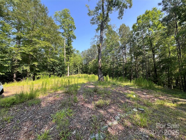 1015 Cross Ridge Dr, Rutherfordton, NC 28139 - photo 12