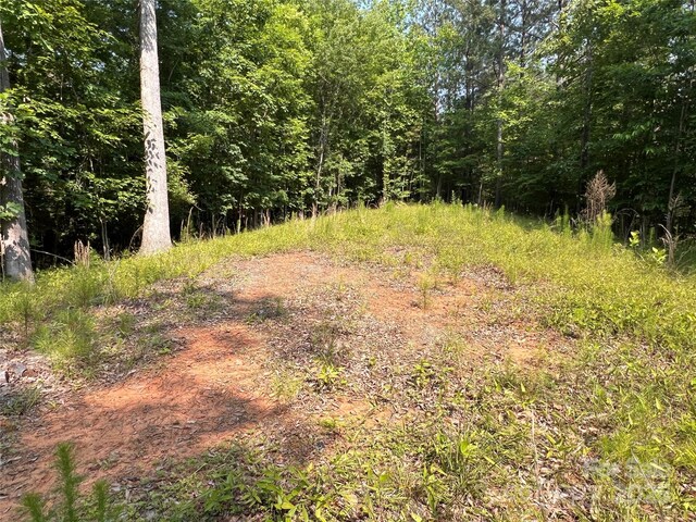 1015 Cross Ridge Dr, Rutherfordton, NC 28139 - photo 13