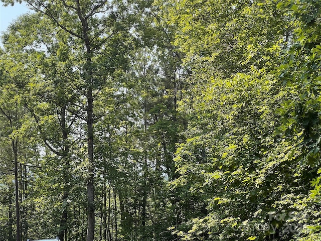 1015 Cross Ridge Dr, Rutherfordton, NC 28139 - photo 14