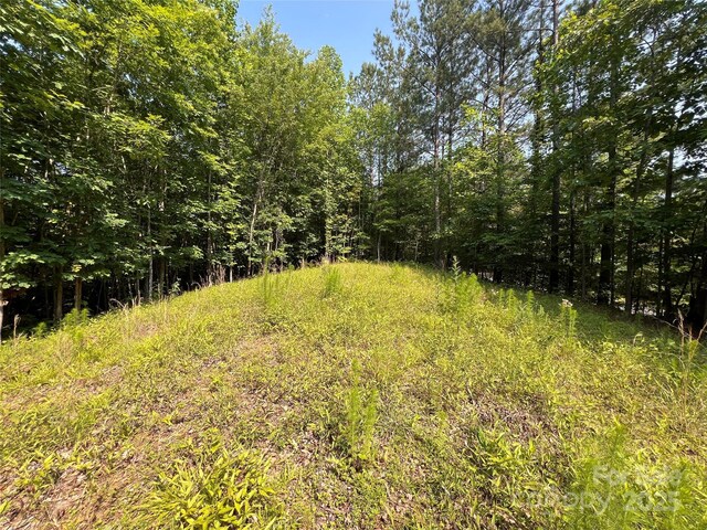 1015 Cross Ridge Dr, Rutherfordton, NC 28139 - photo 15