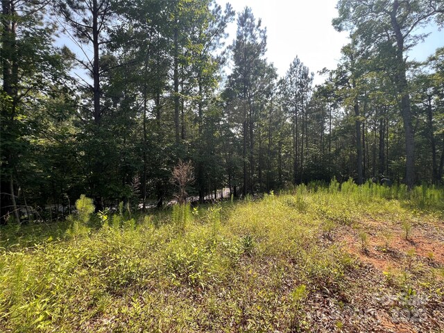 1015 Cross Ridge Dr, Rutherfordton, NC 28139 - photo 16