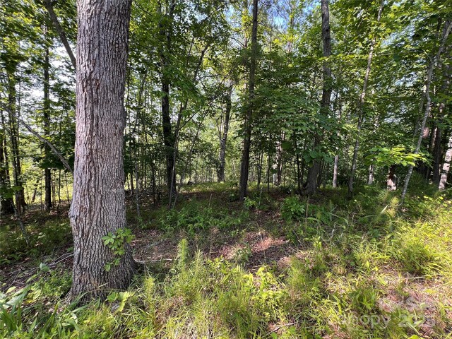 1015 Cross Ridge Dr, Rutherfordton, NC 28139 - photo 17