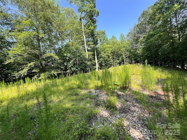 1015 Cross Ridge Dr, Rutherfordton, NC 28139 - photo 18