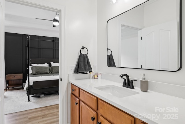2018 Whiskery Ct, York, SC 29745 - ensuite bathroom with vanity and wood finished floors