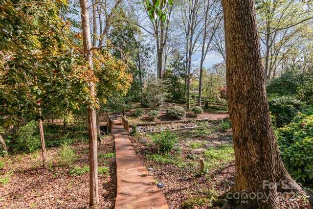 1601 Wandering Way Dr, Charlotte, NC 28226 - view of yard
