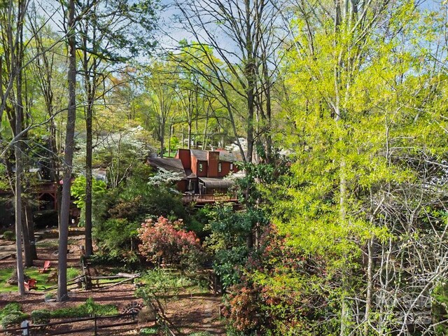 1601 Wandering Way Dr, Charlotte, NC 28226 - view of yard