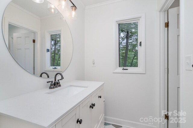 1601 Wandering Way Dr, Charlotte, NC 28226 - bathroom featuring plenty of natural light, vanity, and crown molding