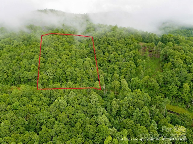 LOT83 Rainbow Trout Dr, Spruce Pine, NC 28777