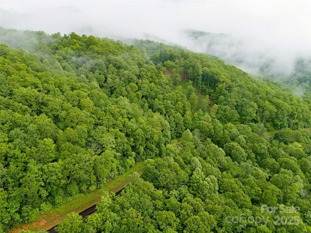 LOT83 Rainbow Trout Dr, Spruce Pine, NC 28777