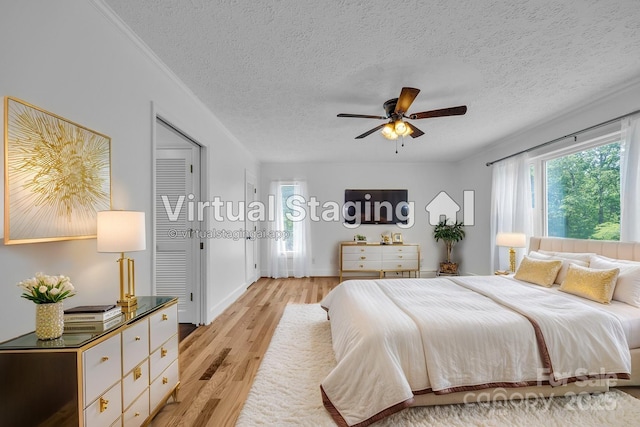 3804 Lippard Ln, Valdese, NC 28690 - bedroom featuring multiple windows, light wood-type flooring, a textured ceiling, and ceiling fan