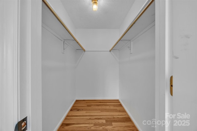 3804 Lippard Ln, Valdese, NC 28690 - walk in closet with light wood finished floors