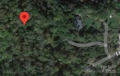 62 Ebb Burnette Rd, Weaverville, NC 28787