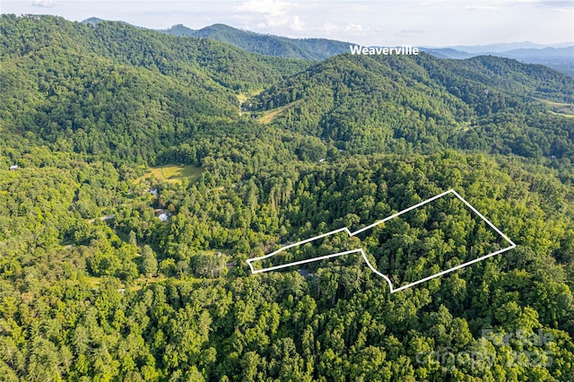 62 Ebb Burnette Rd, Weaverville, NC 28787
