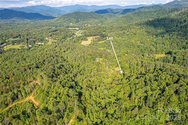 62 Ebb Burnette Rd, Weaverville, NC 28787