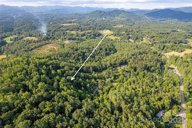 62 Ebb Burnette Rd, Weaverville, NC 28787