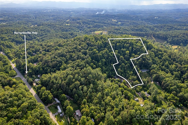 62 Ebb Burnette Rd, Weaverville, NC 28787