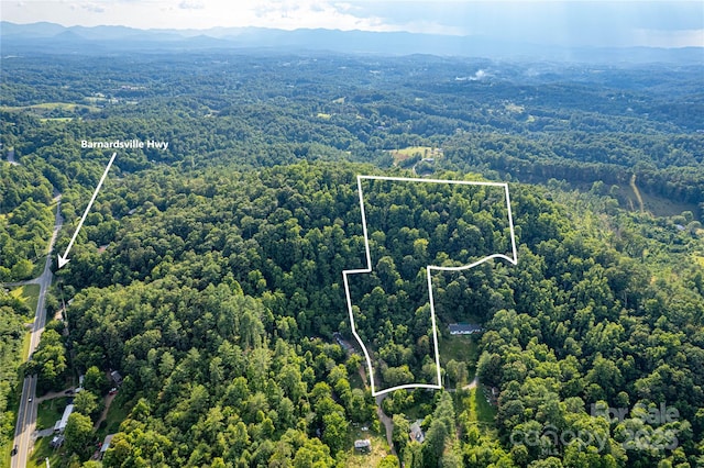 62 Ebb Burnette Rd, Weaverville, NC 28787