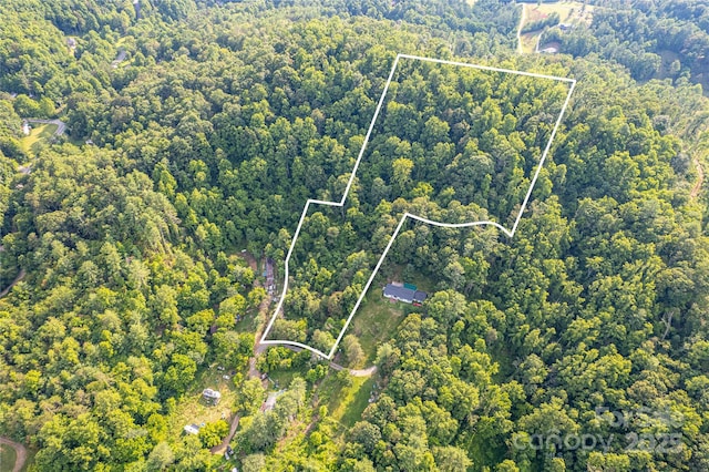 62 Ebb Burnette Rd, Weaverville, NC 28787