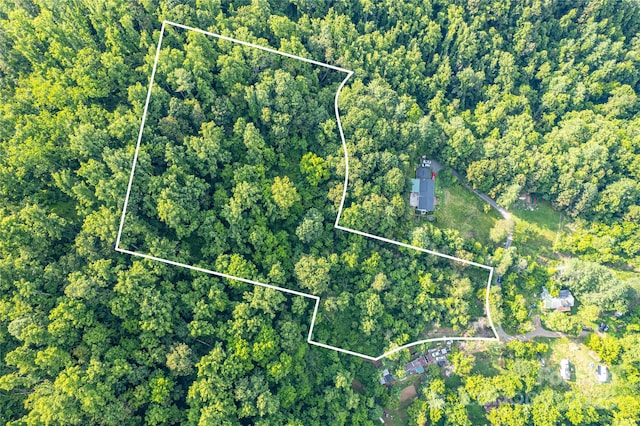 62 Ebb Burnette Rd, Weaverville, NC 28787