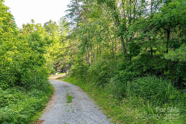 62 Ebb Burnette Rd, Weaverville, NC 28787