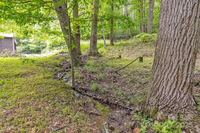 1598 Claybank Rd, West Jefferson, NC 28694 - view of yard