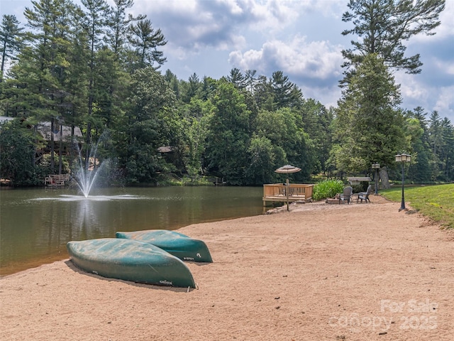 130 Old Mill Rd Unit 222, Flat Rock, NC 28731 - water view