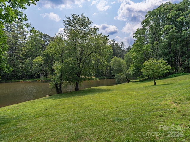 130 Old Mill Rd Unit 222, Flat Rock, NC 28731 - view of green lawn featuring a water view and a view of trees